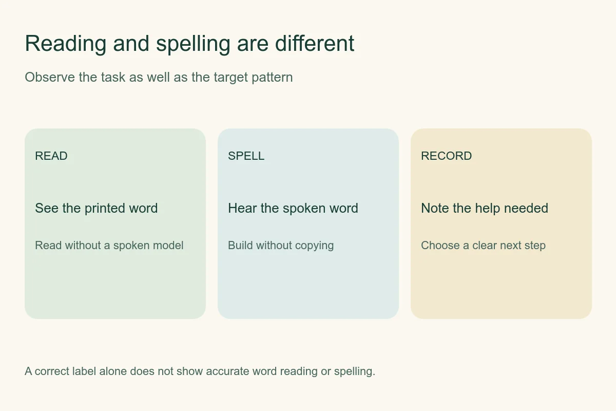 Separate checks for reading a printed word, spelling a spoken word, and recording support